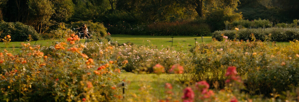 Park in The Hague.