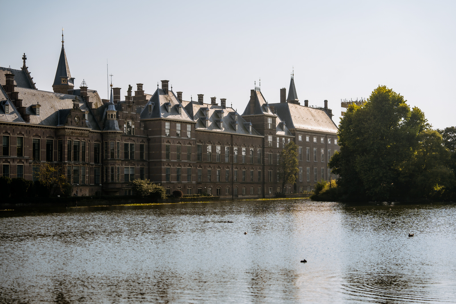 48 Stunden in Den Haag